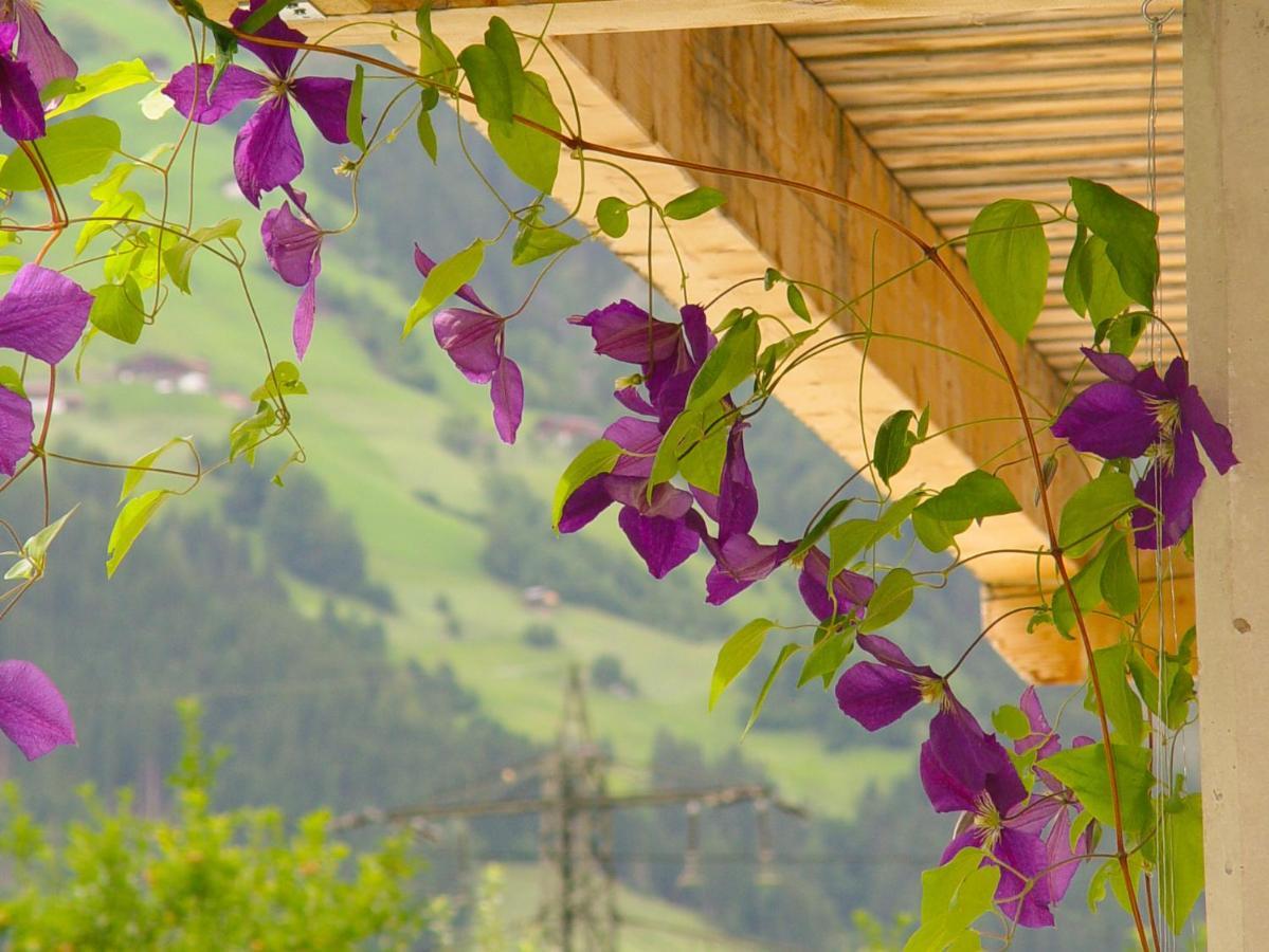 Apartamento Birgla